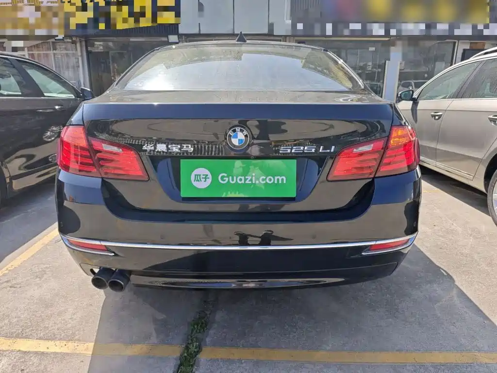 BMW 5 Series 525 Li Luxury Design Package