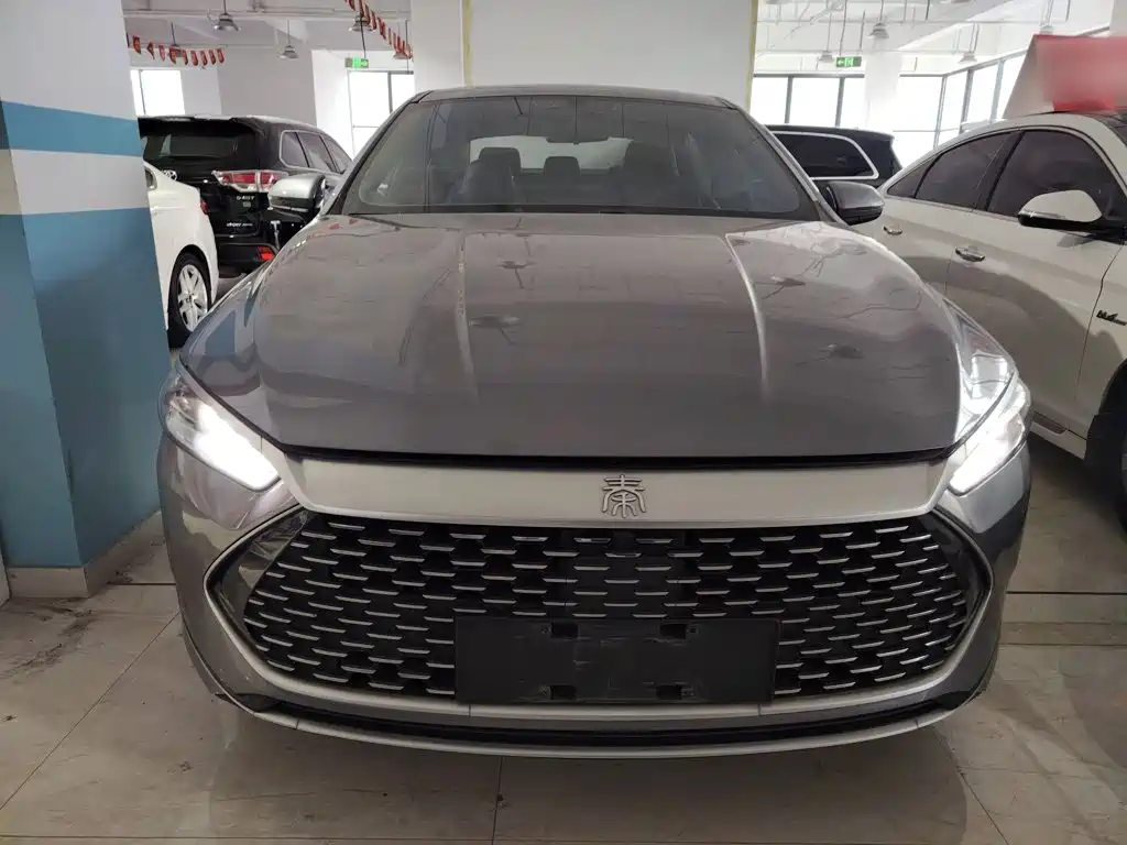 Qin PLUS DM-i 55 KM Flagship