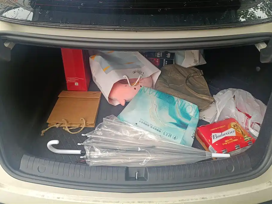 Seal 06 DM-i Wagon DM-i 150 KM Premium