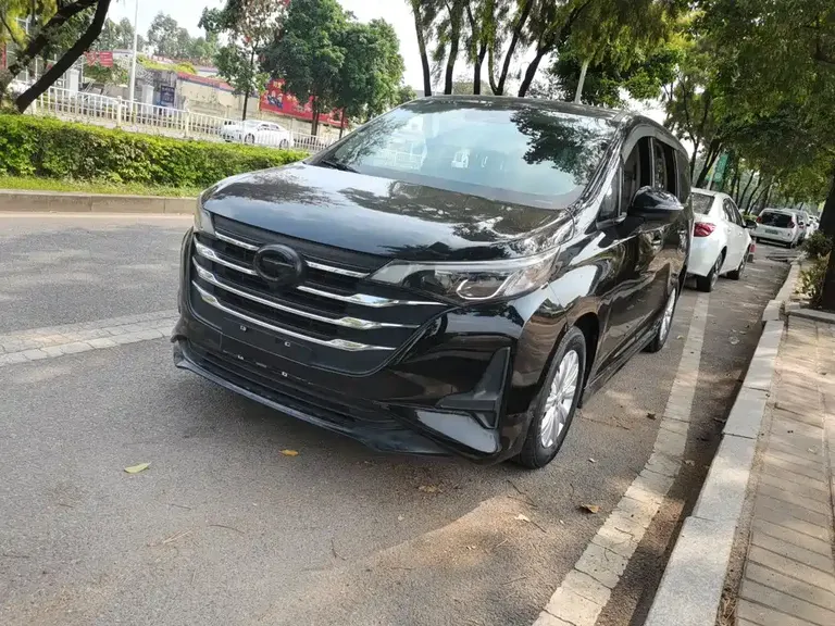GAC Trumpchi M6 传祺M6 2019款 270 T DCT精英版（七座）国VI