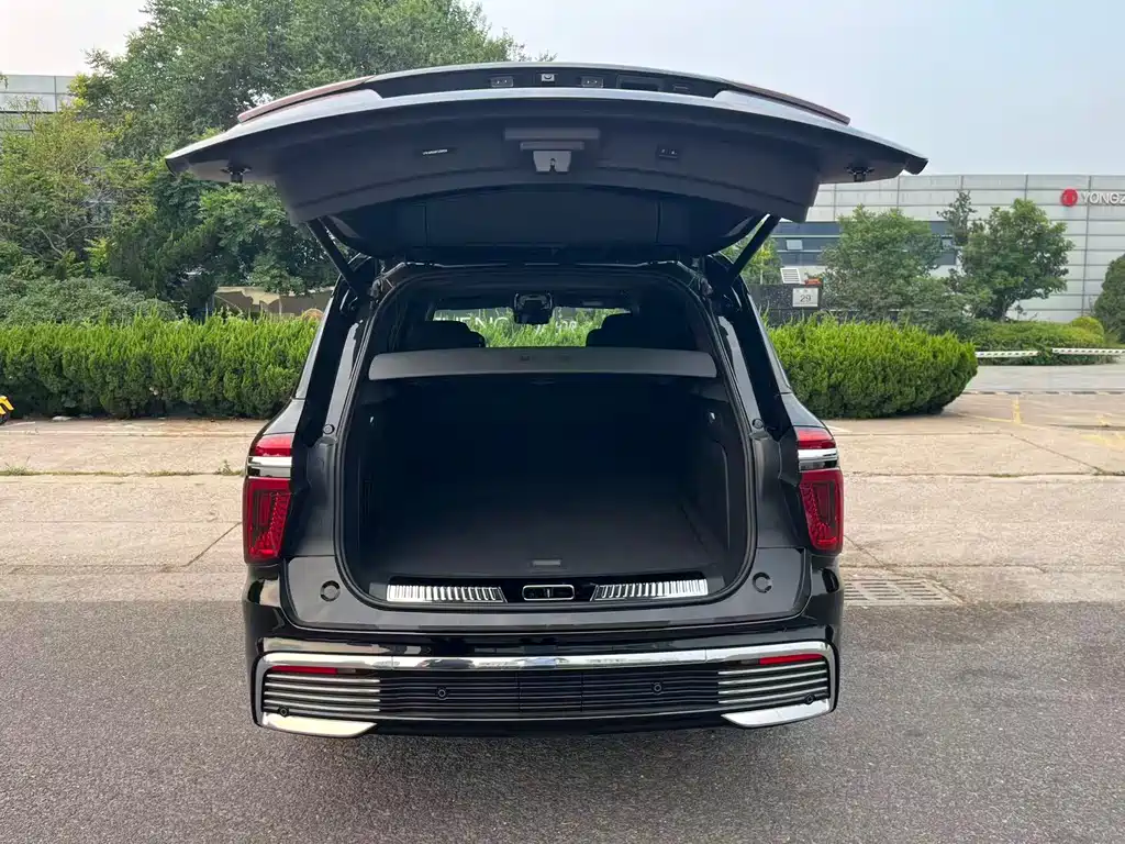 Hongqi Jinkuihua Guoyao 4.0 T Noble Flagship 4-seat