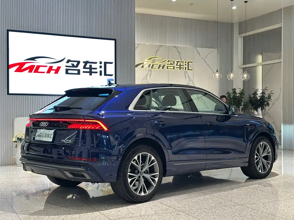 Audi Q8 55 TFSI Luxury Dynamic