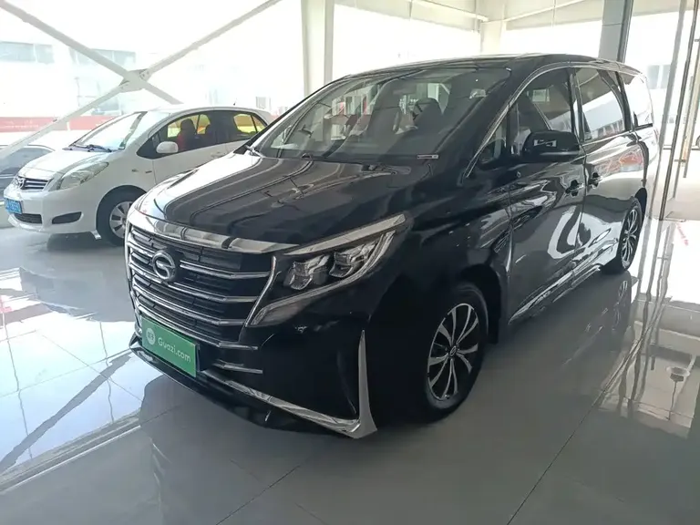 GAC Trumpchi M8 Leading Show Series 390 T Luxury