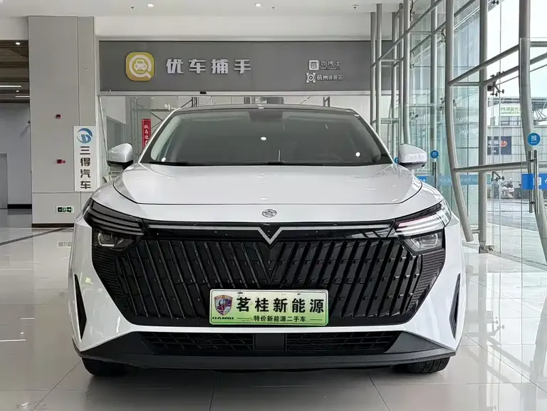 Venucia Big V DD-i 110 km iE