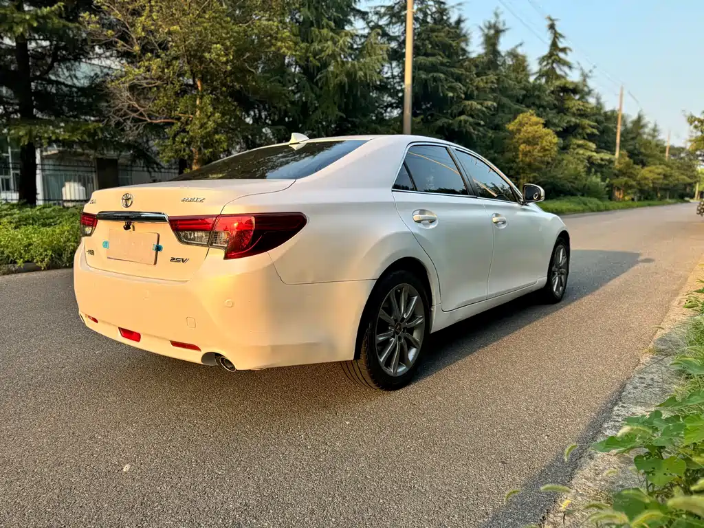 Mark X 2.5 S Elite Sharp