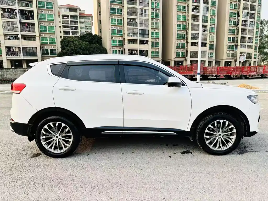 Haval H6 哈弗H6 2019款 蓝标 1.5 GDIT 自动豪华智联版