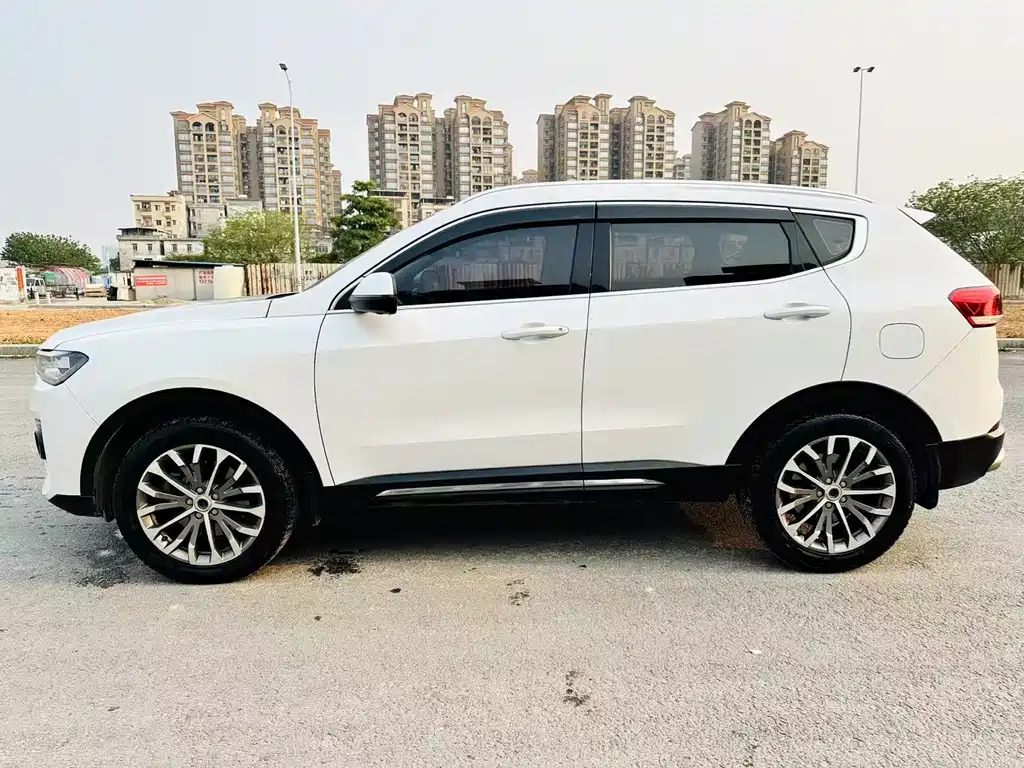 Haval H6 哈弗H6 2019款 蓝标 1.5 GDIT 自动豪华智联版