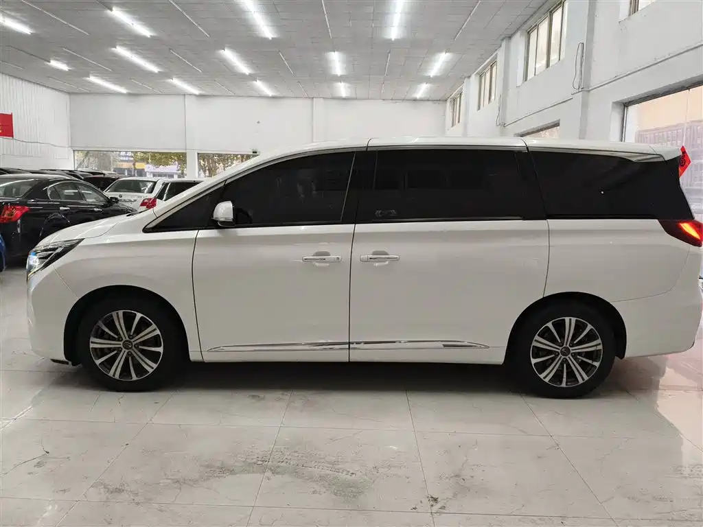 GAC Trumpchi M8 320 T Distinguished
