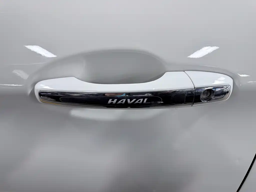 Haval H9 2.0 T 4 WD Luxury 7-seat