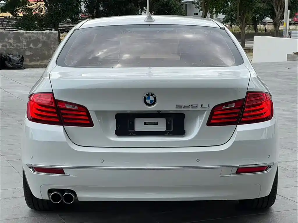 BMW 5 Series 525 Li Luxury Design Package