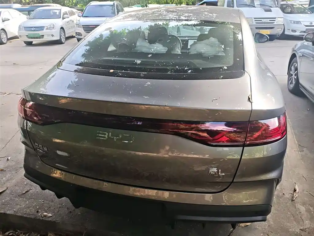 Qin L DM-i 80 KM Leading