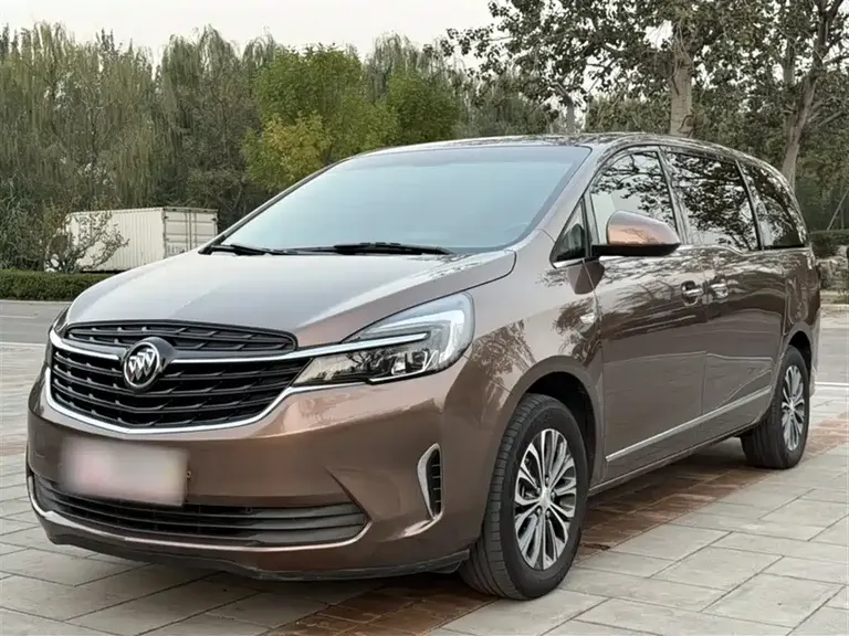 Buick GL8 Land Official Cabin 652 T Luxury