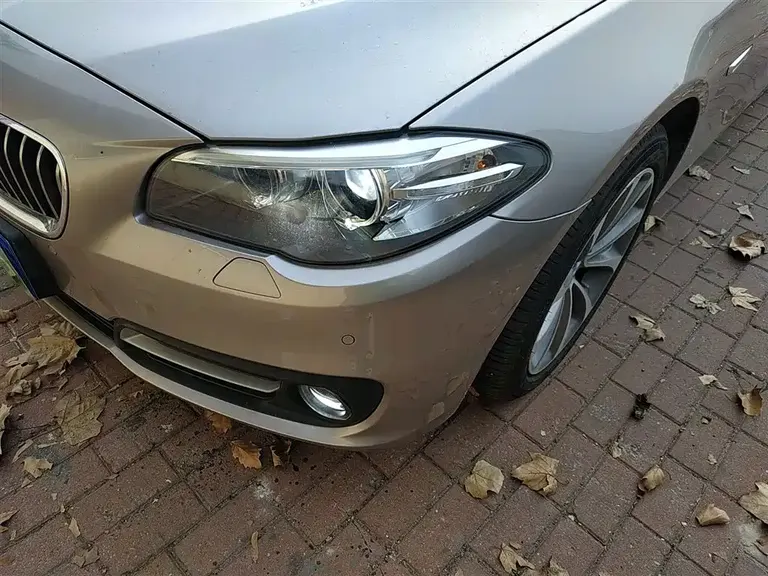 BMW 5 Series 528 Li Leading