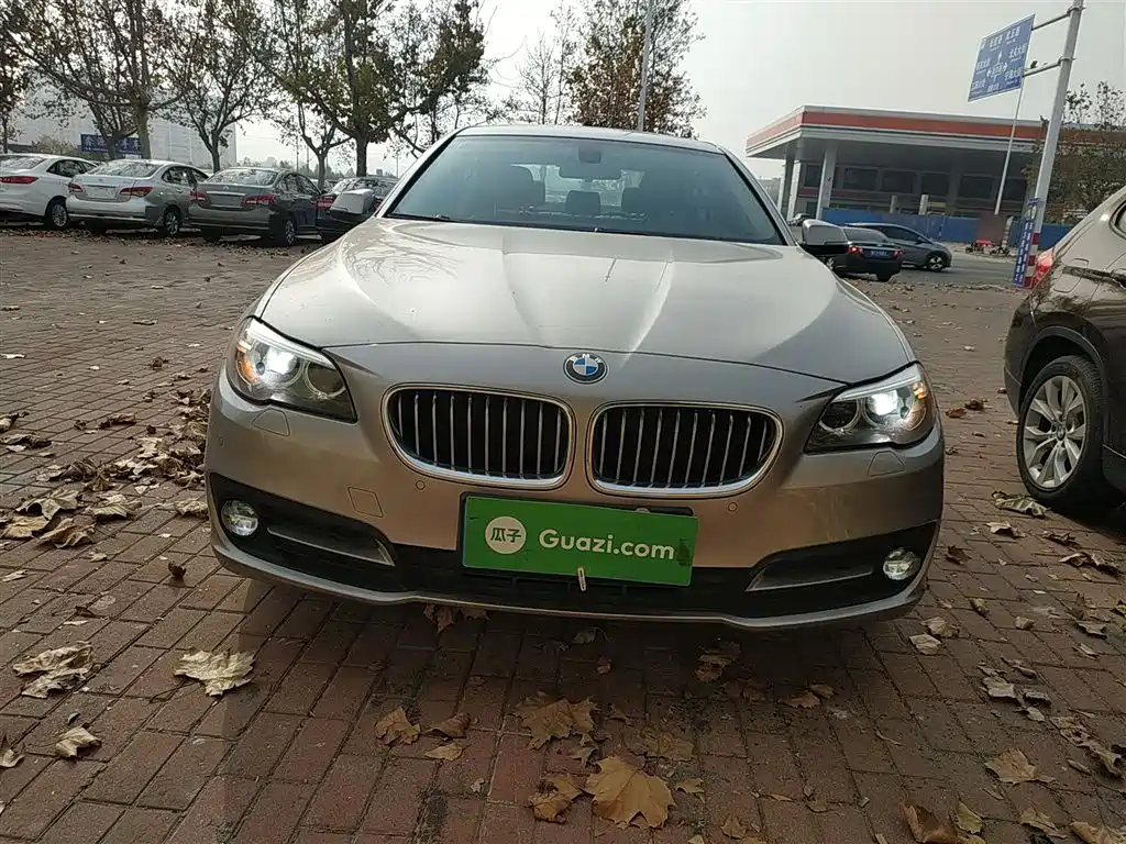BMW 5 Series 528 Li Leading