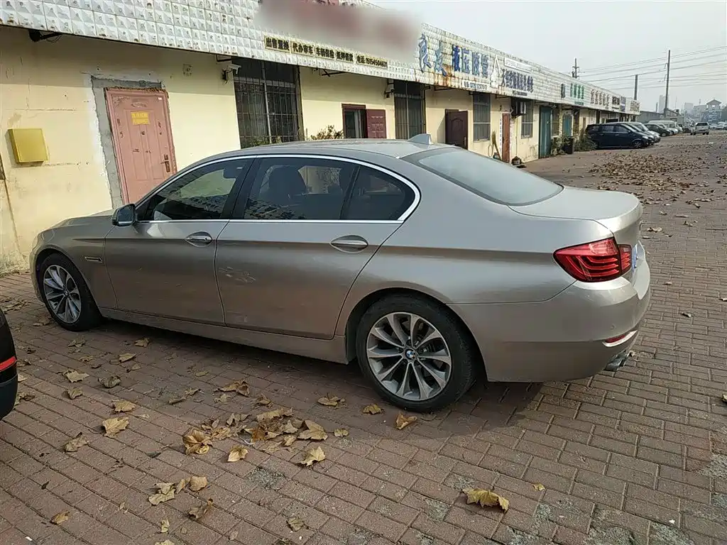 BMW 5 Series 528 Li Leading