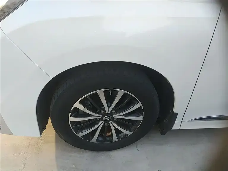 GAC Trumpchi M8 Leading Show Series 390 T Premium