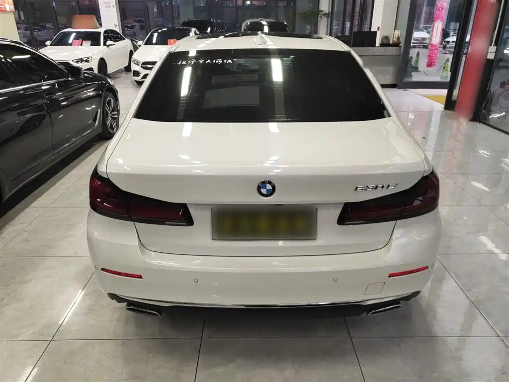 BMW 5 Series 530 Li Leading Luxury Package