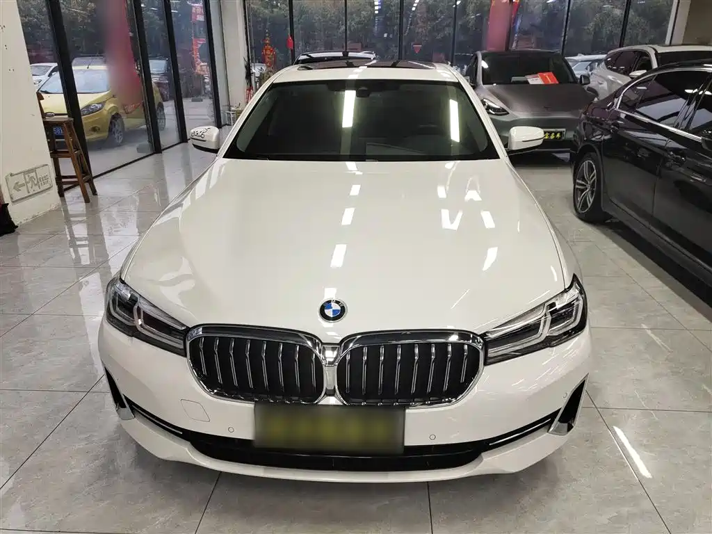 BMW 5 Series 530 Li Leading Luxury Package