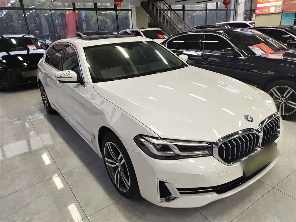 BMW 5 Series 530 Li Leading Luxury Package