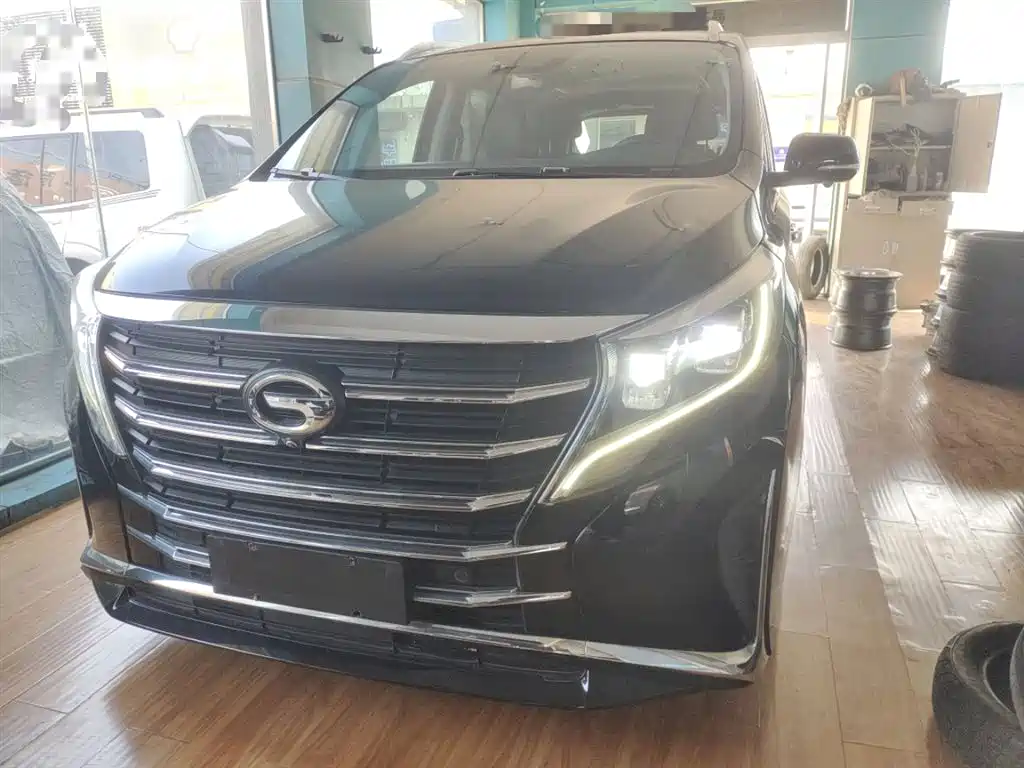 GAC Trumpchi M8 Leading Show Series 390 T Distinguished
