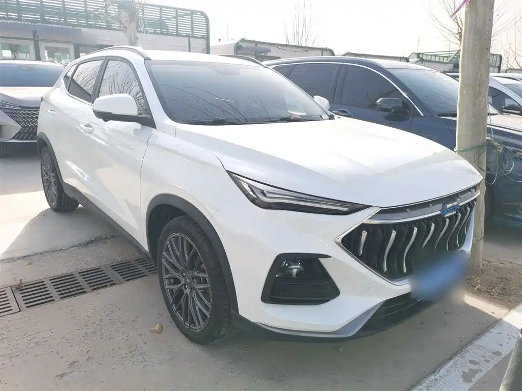 Changan Oshan X5 1.5 T DCT Flagship