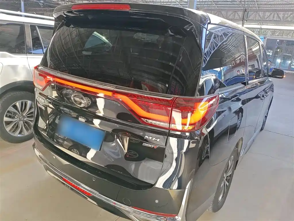 GAC Trumpchi M8 Leading Show Series 390 T Premium