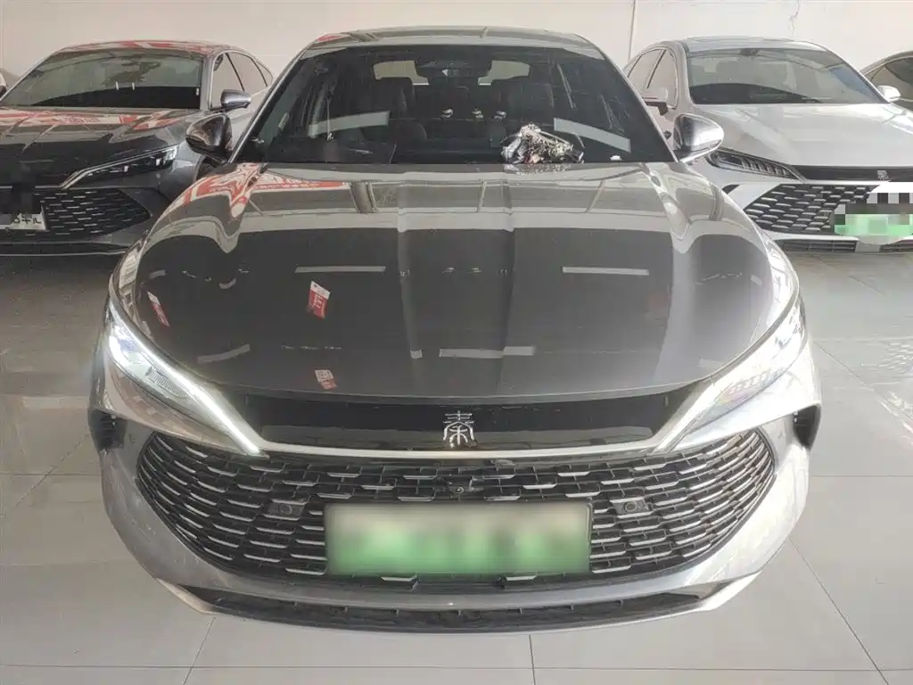 Qin L DM-i Smart Drive 120 KM Transcend