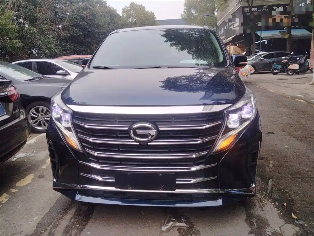 GAC Trumpchi M8 Leading Show Series 390 T Premium