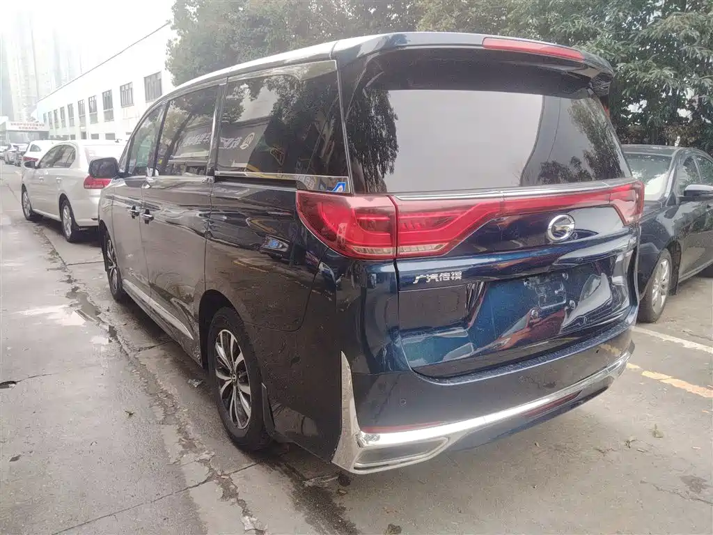 GAC Trumpchi M8 Leading Show Series 390 T Premium