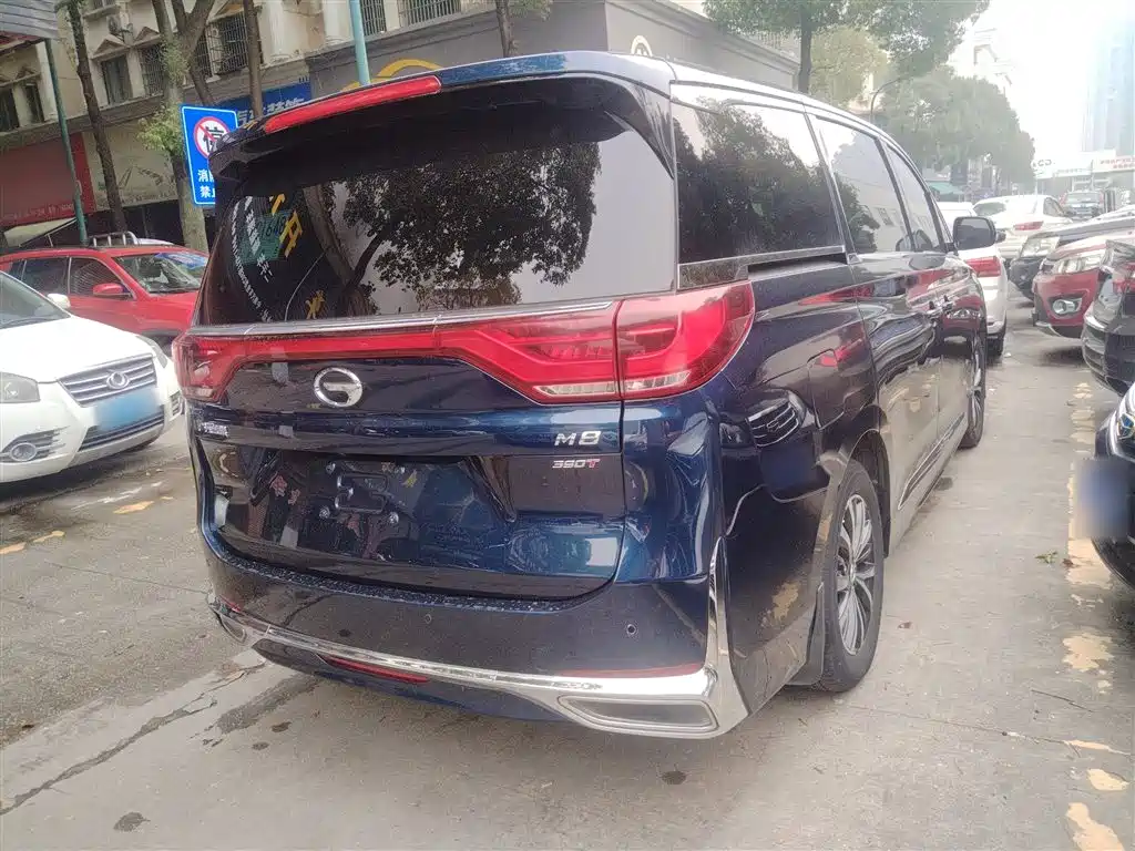 GAC Trumpchi M8 Leading Show Series 390 T Premium