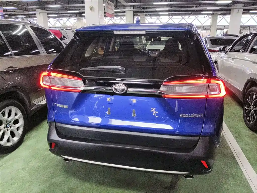 Wildlander 2.0 L CVT 2 WD Luxury