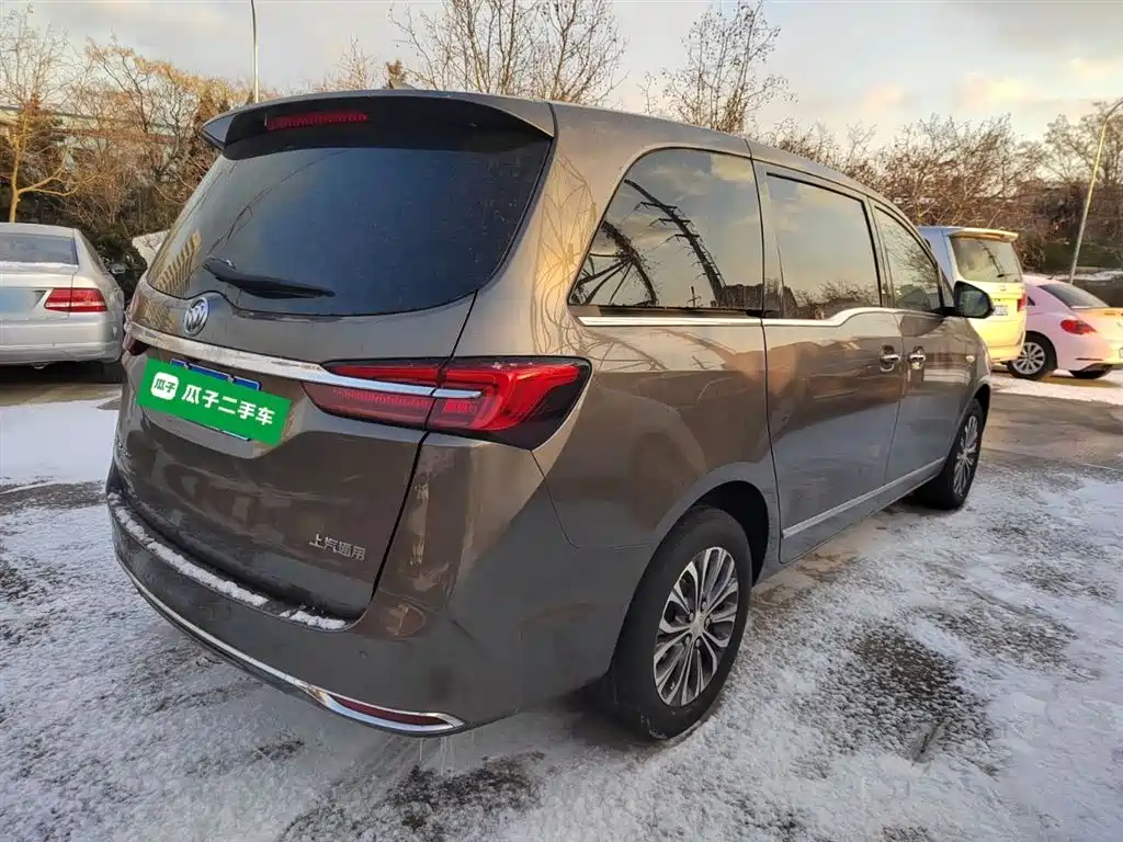 Buick GL8 Land Official Cabin 652 T Luxury