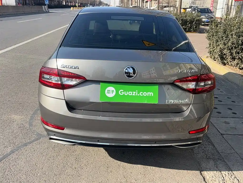Octavia 明锐 2019款 TSI230 DSG豪华版