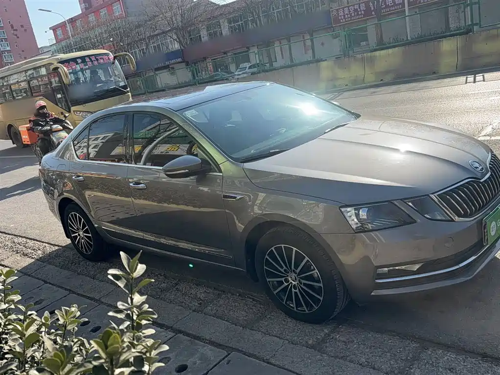 Octavia 明锐 2019款 TSI230 DSG豪华版