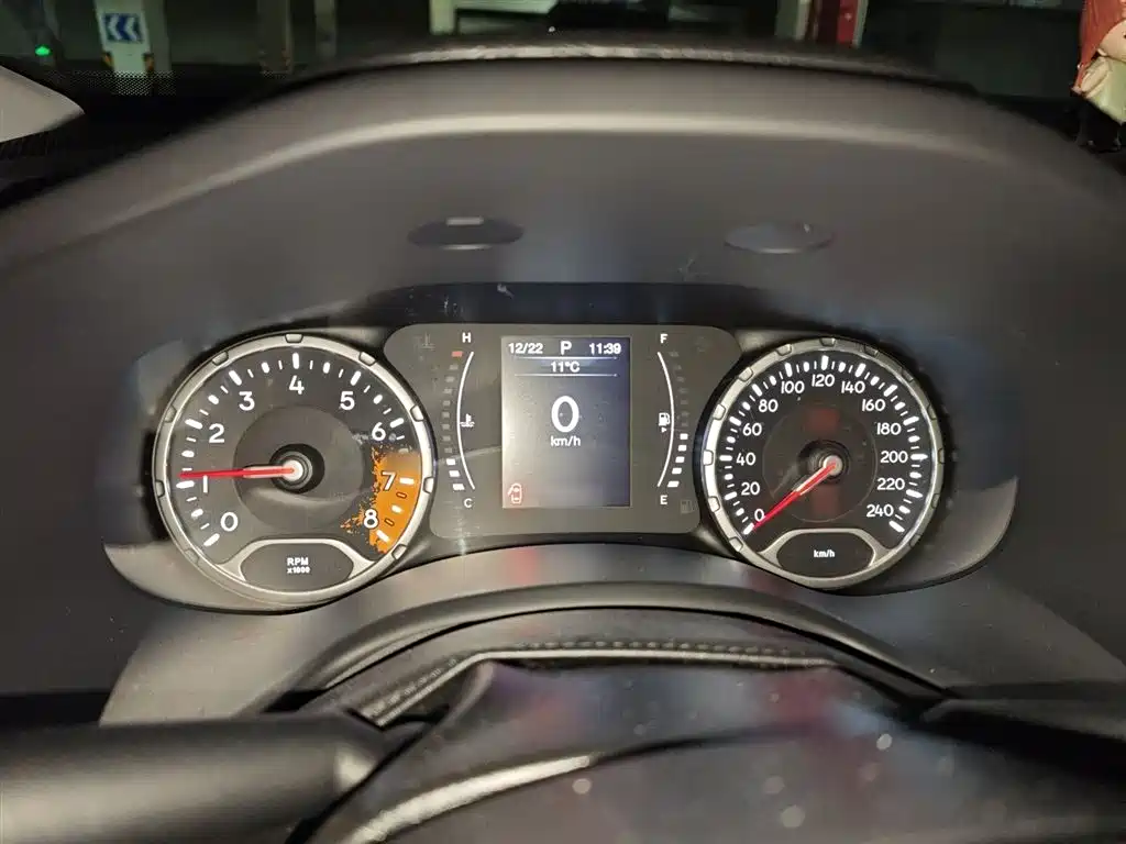 Renegade 220 T Auto Leading