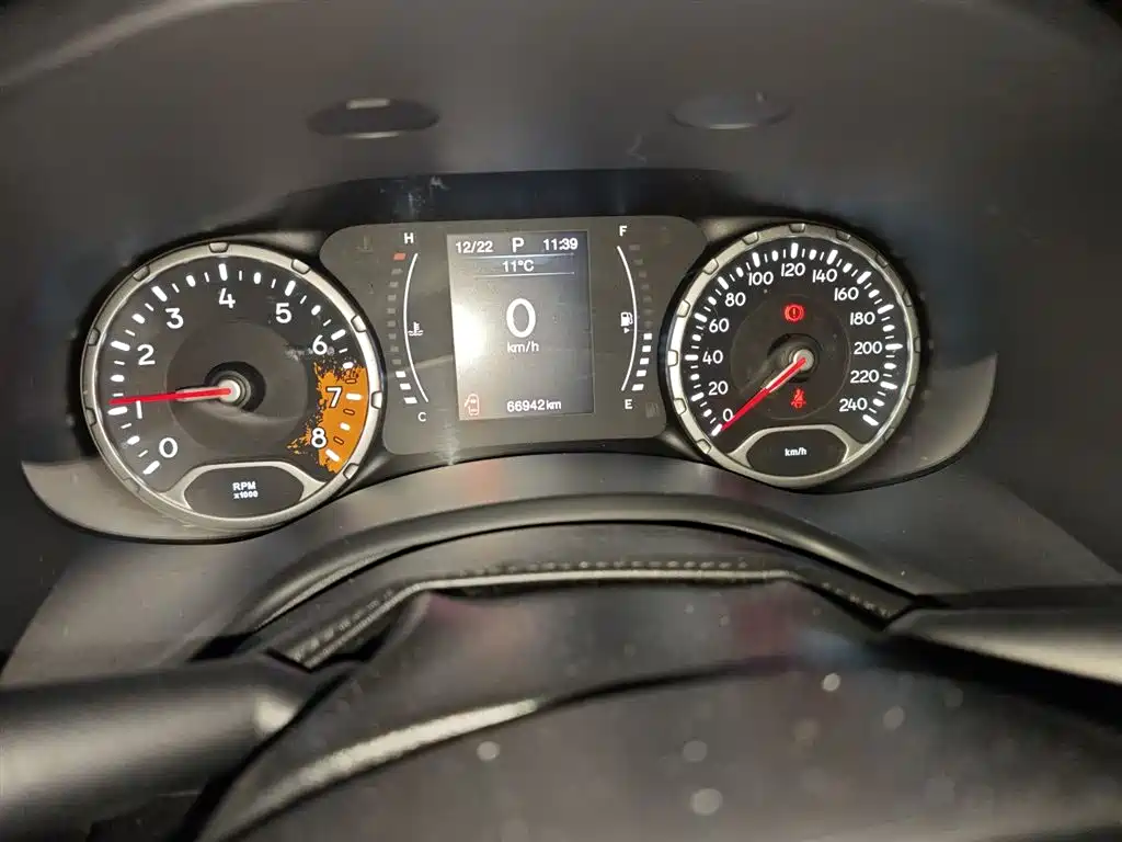Renegade 220 T Auto Leading