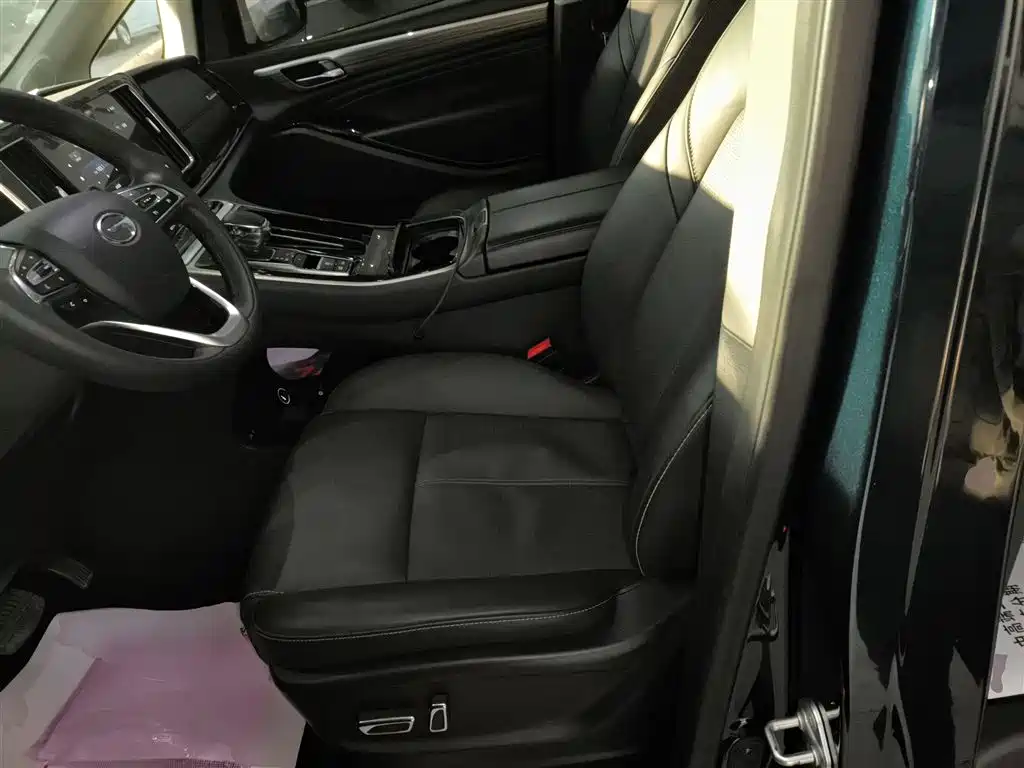 GAC Trumpchi M8 Leading Show Series 390 T Premium