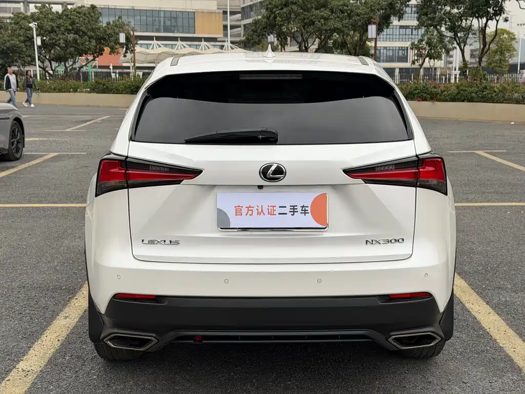 Lexus NX 300 FWD Sharp Travel
