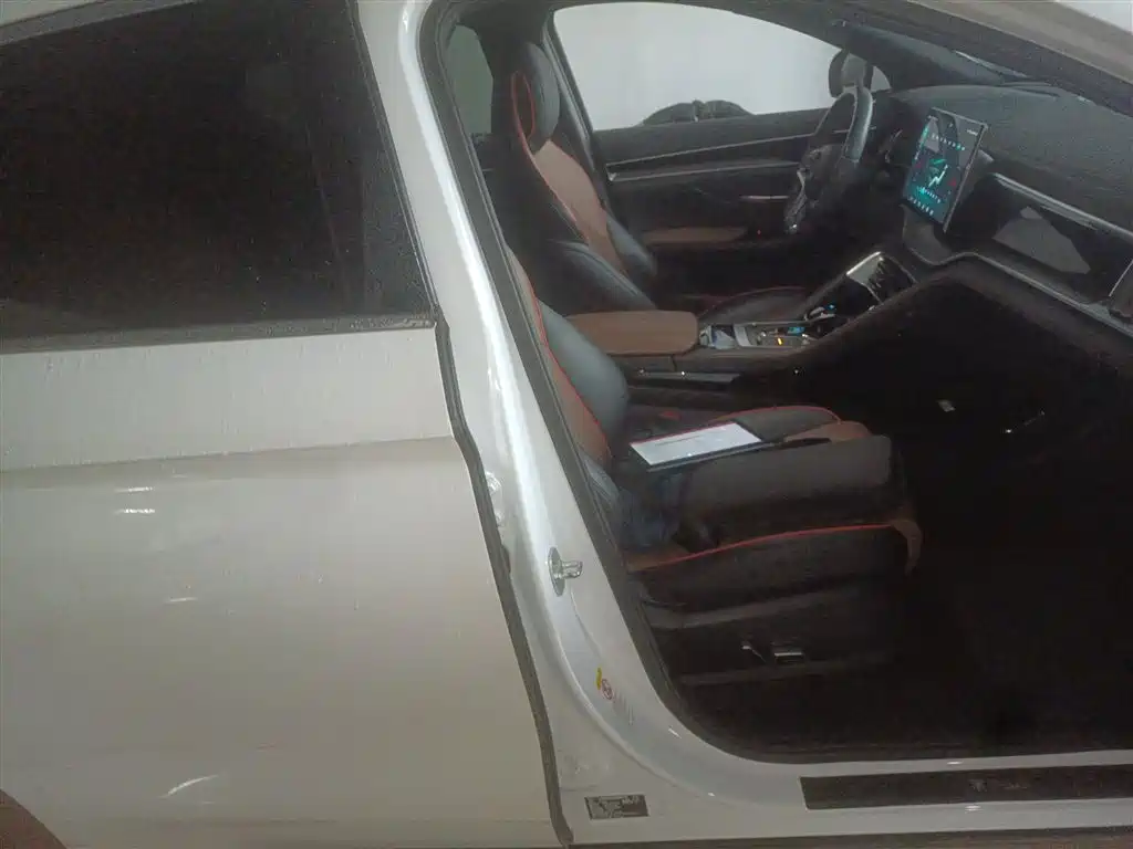 Song PLUS 1.5 T Auto Flagship