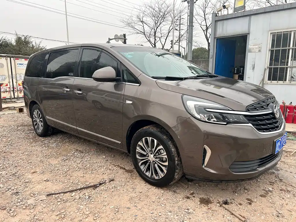 Buick GL8 Land Official Cabin 652 T Luxury