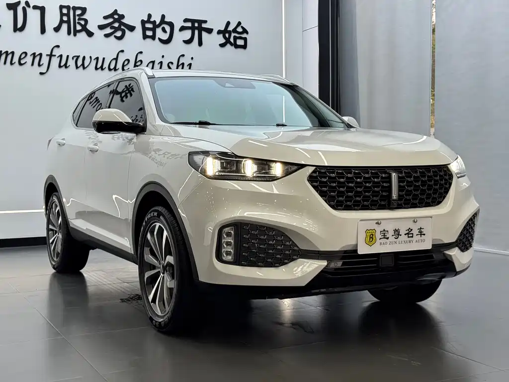 WEY VV6 2.0 T 2 WD Smart Guard +