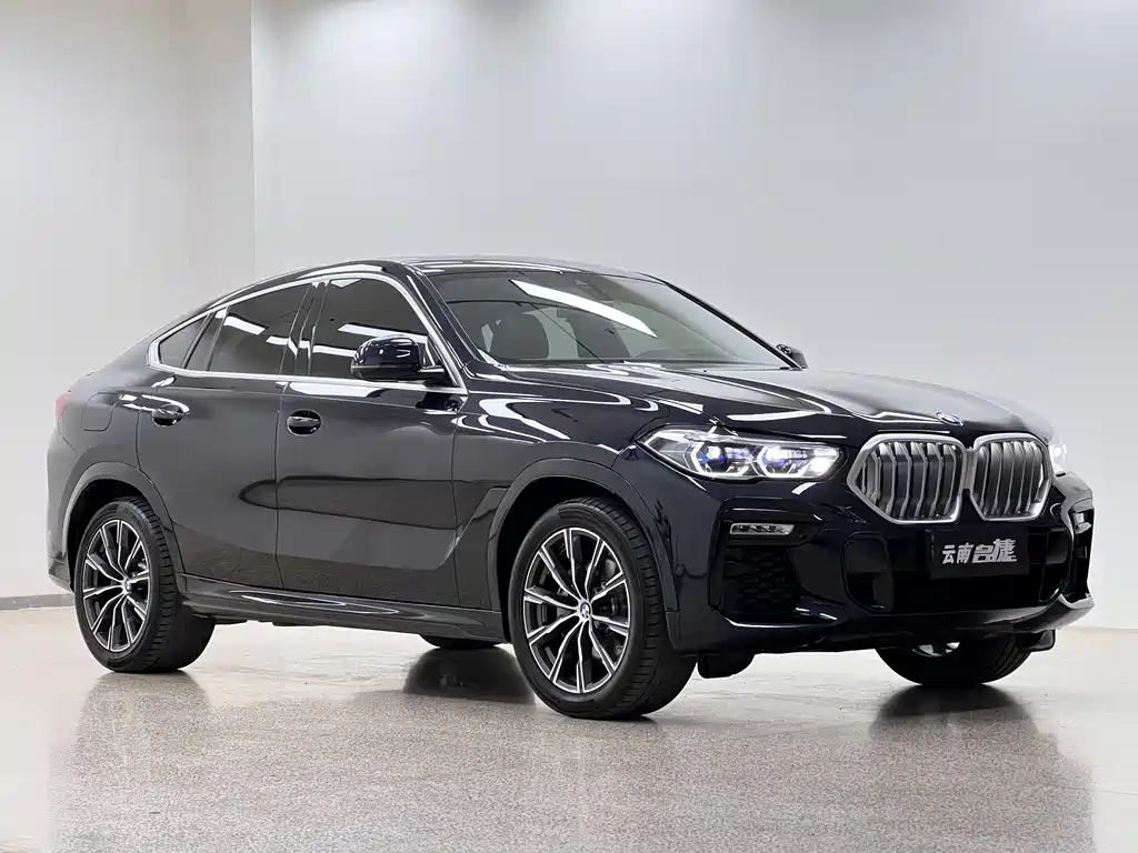 BMW X6 xDrive40 i M Sport Package