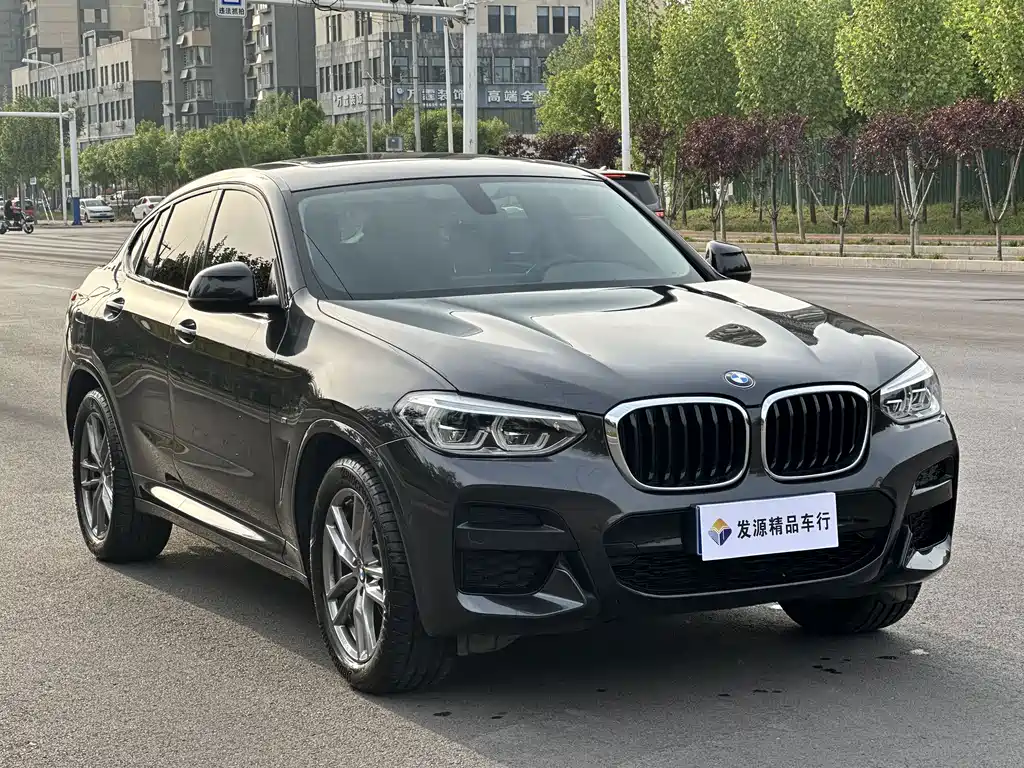 BMW X4 xDrive 25 i M Sport Package