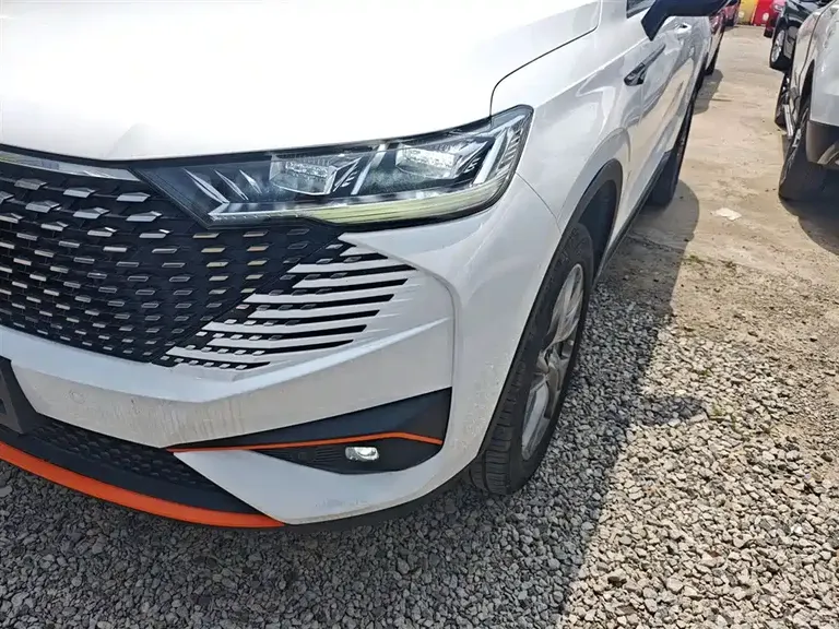 Haval H6 哈弗H6 2021款 运动版 1.5 T 自动尊贵智联型 六边形格栅