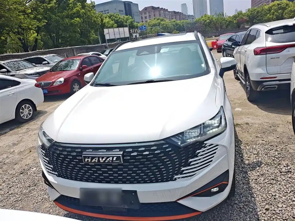 Haval H6 哈弗H6 2021款 运动版 1.5 T 自动尊贵智联型 六边形格栅