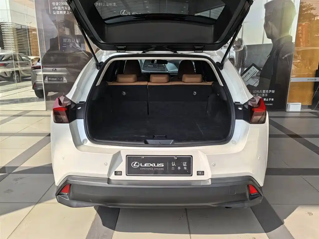Lexus UX 260 h ·