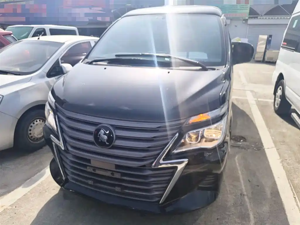 Lingzhi 菱智 2021款 M5 L 2.0 L 实用型