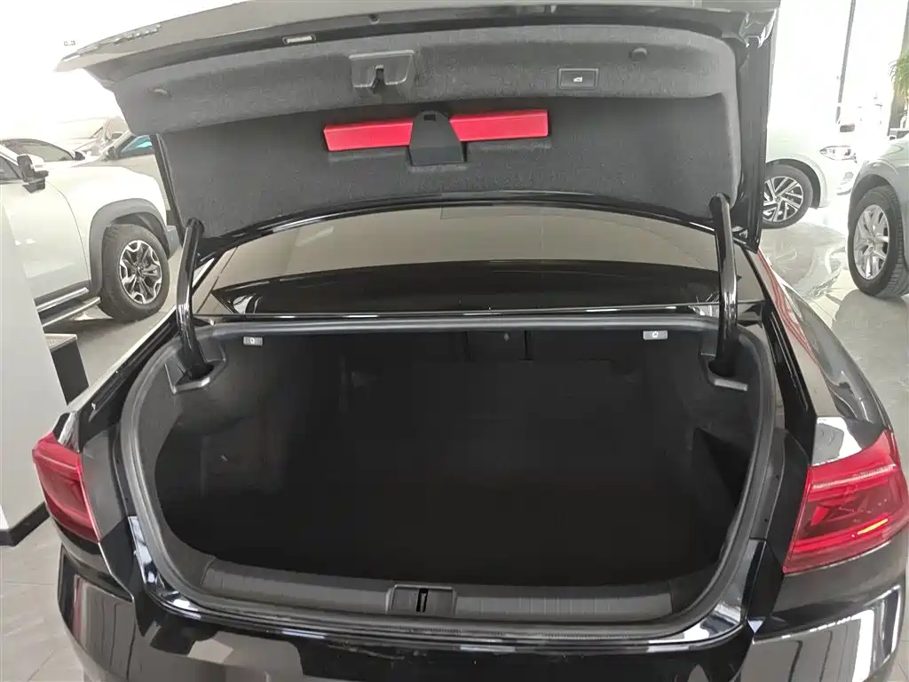 Magotan 330 TSI DSG Luxury
