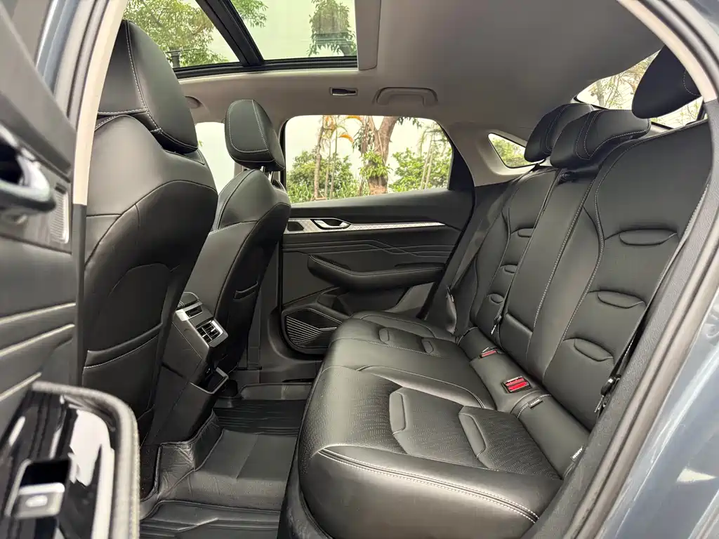 Xingrui 2.0 TD Luxury
