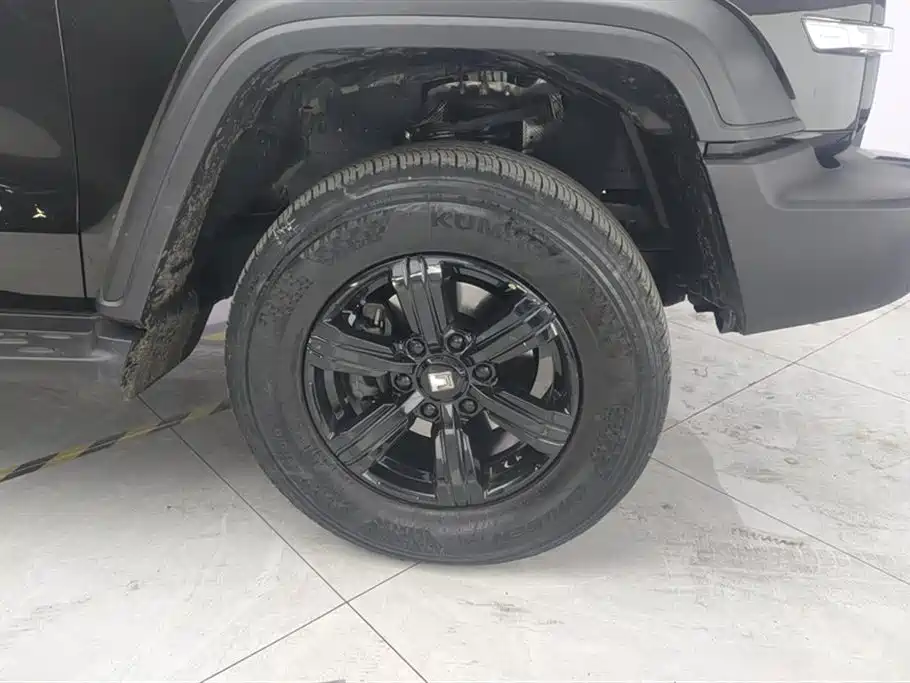 Tank 300 Offroad 2.0 T Conqueror